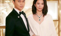 娱乐圈吃瓜系统很多,揭秘明星幕后故事与八卦传闻