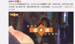 啪啪在线观看视频,揭秘“啪啪在线”热门视频背后的故事