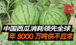 重庆吃瓜爆料是真的吗,真相还是谣言？