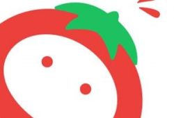 番茄动漫,描绘青春梦想的彩色画卷