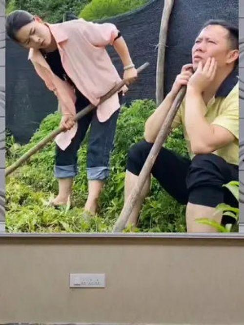 娱乐八卦一定吃瓜群众,揭秘“吃瓜群众”的八卦盛宴