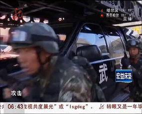 反恐视频,揭秘现代反恐视频中的实战智慧